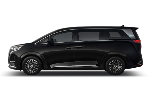 BYD DENZA D9